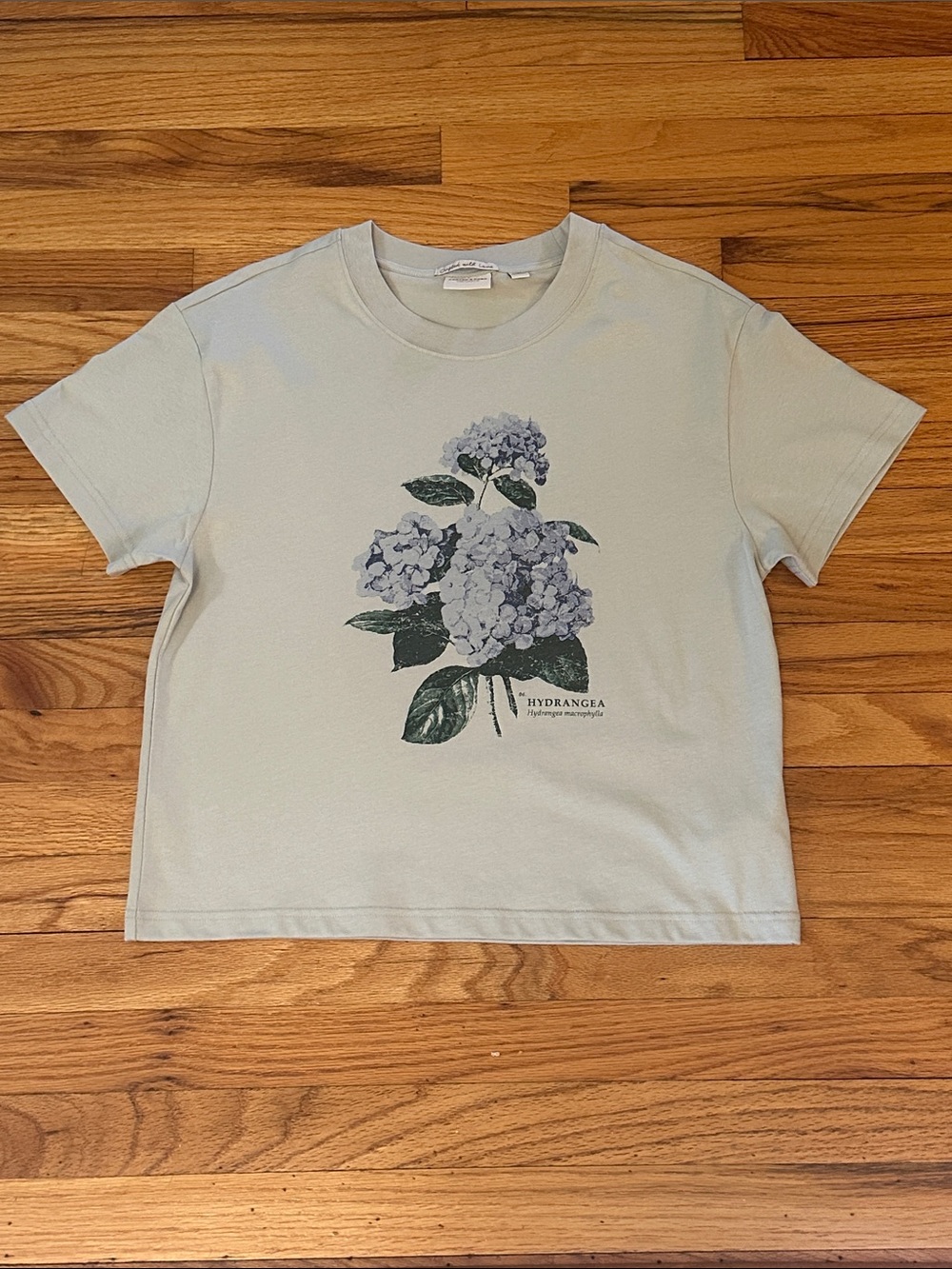 Scotch & Soda Light Sage Green Hydrangea Graphic Tee Sz M - Picture 5 of 9